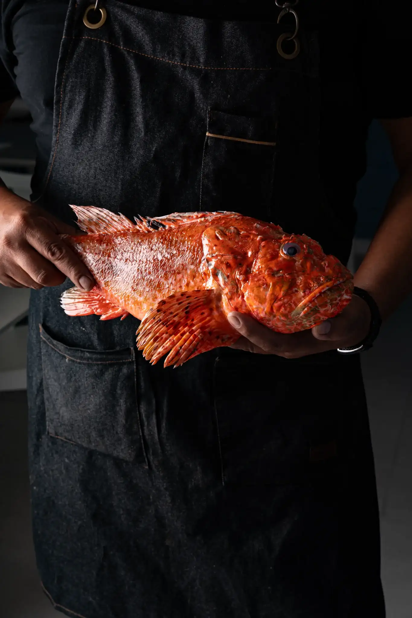 Cocinero de Restaurant La Llotja en España sosteniendo un pescado de roca fresco de color naranja intenso en cocina mediterránea